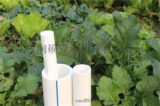 新疆北屯市潤(rùn)碩牌PPR冷熱水管特點(diǎn)